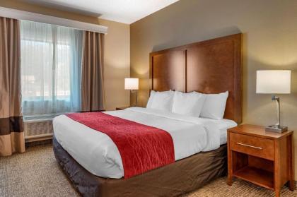 Comfort Inn La Porte - image 21