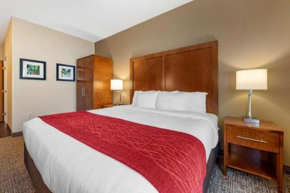 Comfort Inn La Porte - image 4