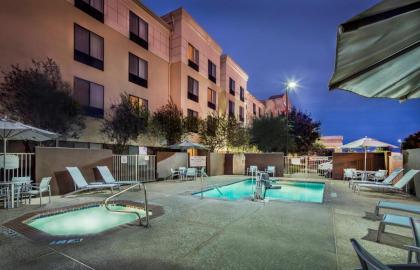 SpringHill Suites Laredo - image 3