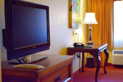 Best Western San Isidro Inn - image 3