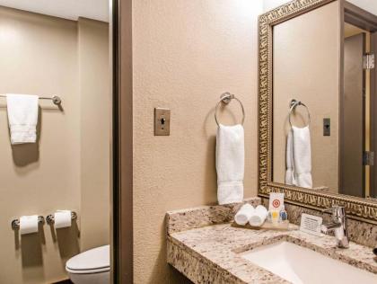 Comfort Inn - image 11