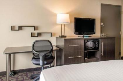 Comfort Inn - image 9