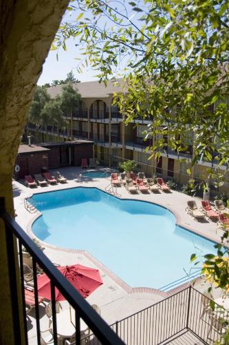 Mardi Gras Hotel & Casino - image 2