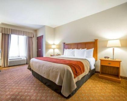 Comfort Inn  Suites Las Vegas   Nellis