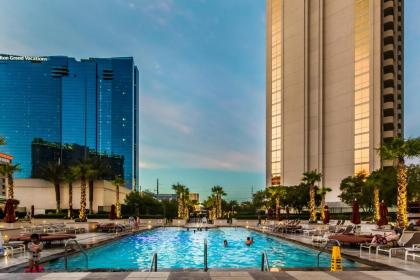 the Signature mGm by Orgoto Las Vegas