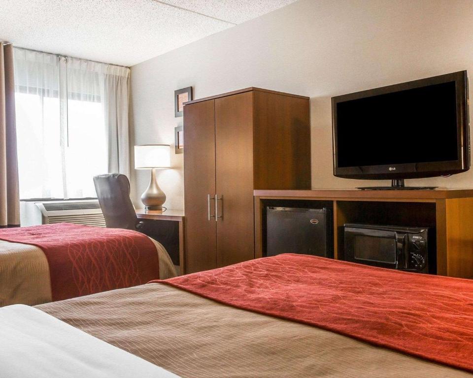 Comfort Inn Latham/Albany North - image 2