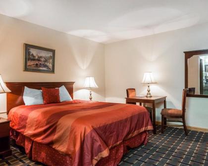 Villa Inn - image 4