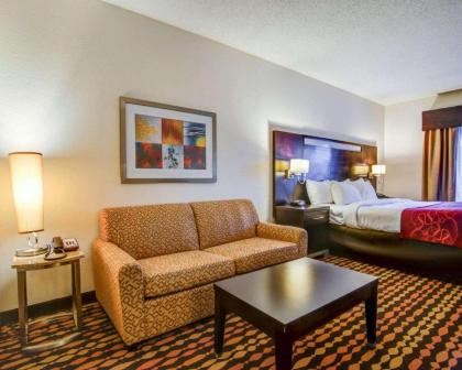 Comfort Suites Northside Hospital Gwinnett - image 7