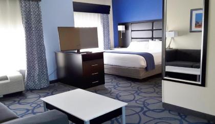 Holiday Inn Express Hotel & Suites Lawrenceville an IHG Hotel - image 6