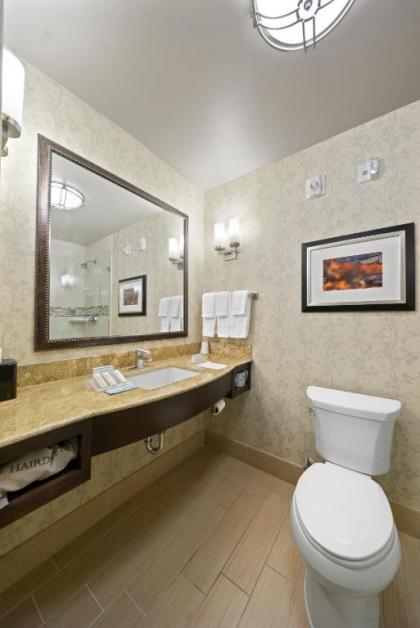 Hilton Garden Inn Lawton-Fort Sill - image 11