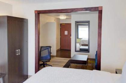 Holiday Inn Express & Suites Le Mars an IHG Hotel - image 8