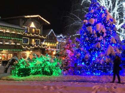 Bavarian Ritz Hotel - image 3