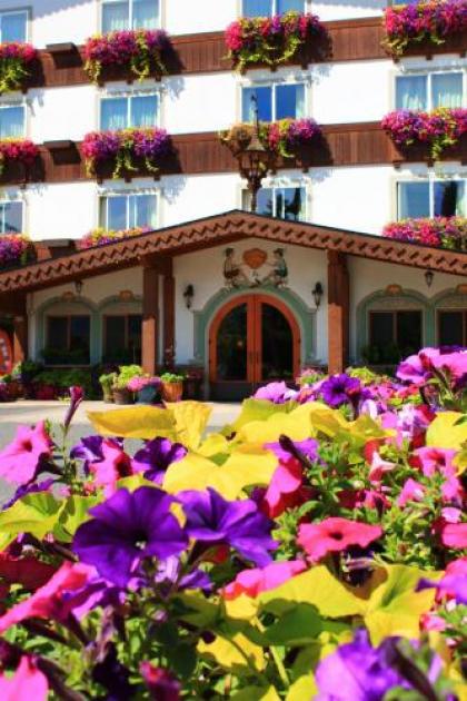 Bavarian Lodge - image 3