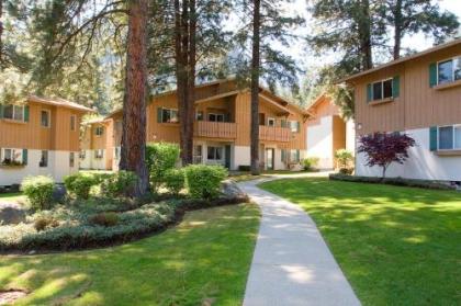 Grizzly Hideaway - image 3
