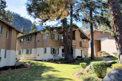 Grizzly Hideaway - image 4
