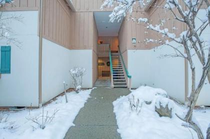 Alpine Village - image 2