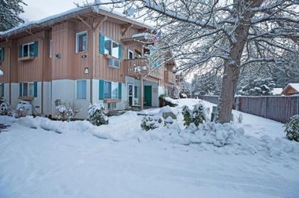 Alpine Village - image 5