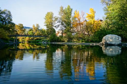 Aspen Suites 506: The Nest - image 3