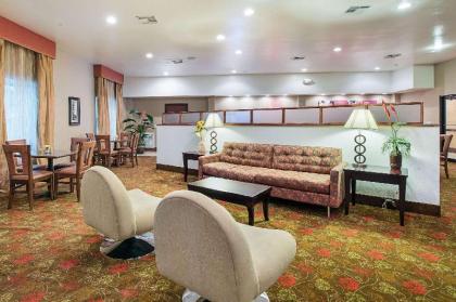 Comfort Suites Leesville - image 4