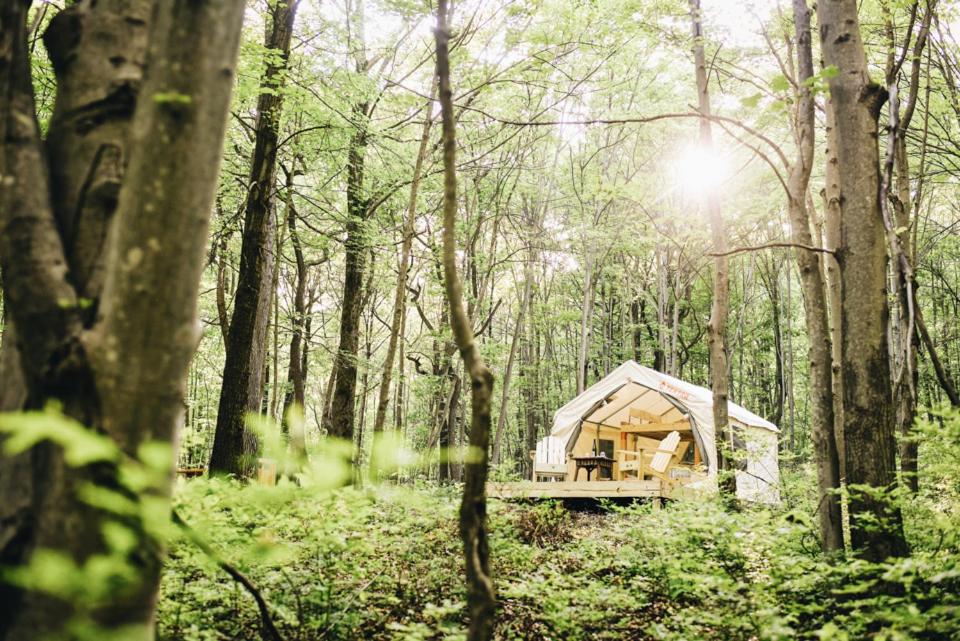 Tentrr - Whippoorwill Woods - main image