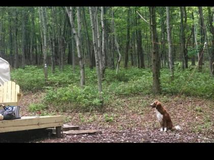 Tentrr - Whippoorwill Woods - image 14
