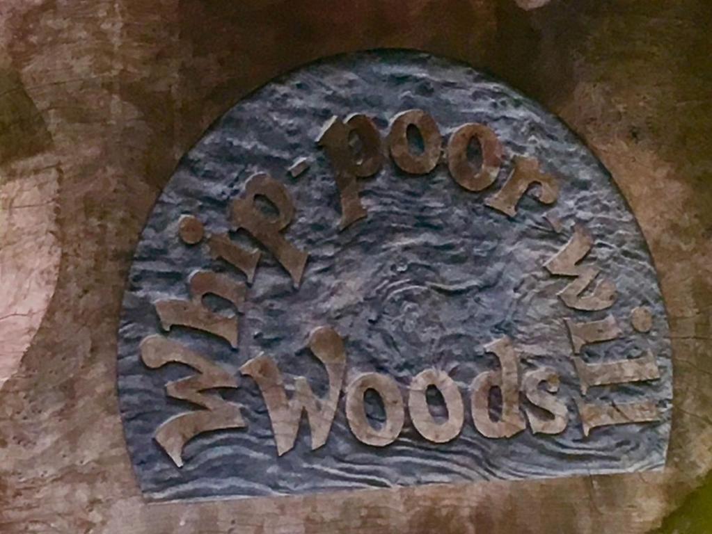 Tentrr - Whippoorwill Woods - image 6