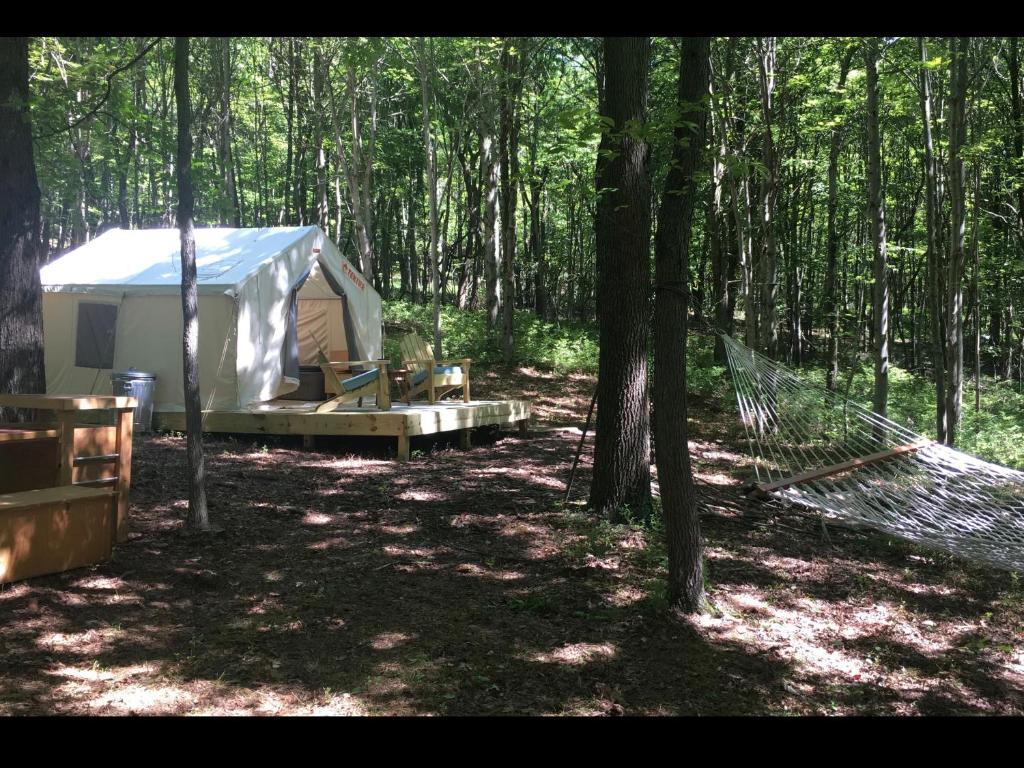 Tentrr - Whippoorwill Woods - image 7