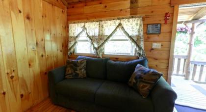 Robin Hill Camping Resort Deluxe Cottage 13 - image 5