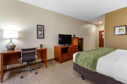 Comfort Inn & Suites Lenoir Hwy 321 Northern Foothills - image 10
