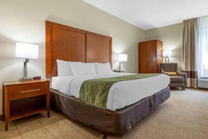 Comfort Inn & Suites Lenoir Hwy 321 Northern Foothills - image 6