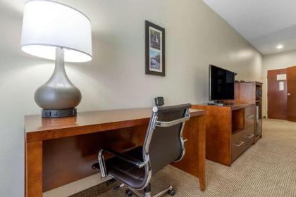 Comfort Inn & Suites Lenoir Hwy 321 Northern Foothills - image 8