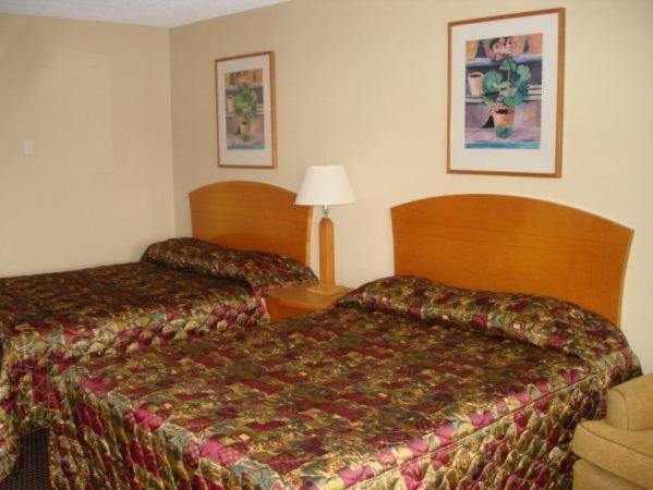 Cedars Inn Lewiston - image 5
