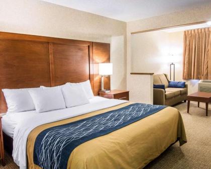 Quality Inn - image 11