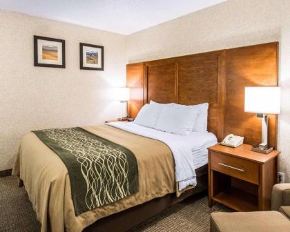 Quality Inn - image 14