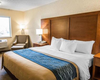 Quality Inn - image 6