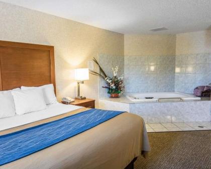 Quality Inn - image 7