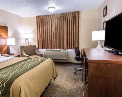 Quality Inn - image 9