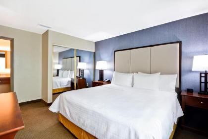 Homewood Suites by Hilton Dallas-Lewisville - image 9