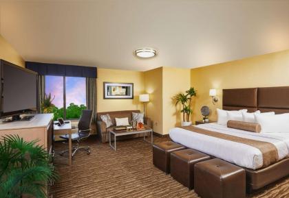 Best Western Plus Lewisville Flower Mound - image 20