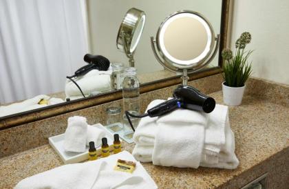 Best Western Plus Lewisville Flower Mound - image 21