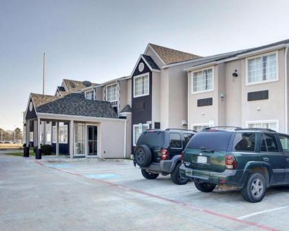 Econo Lodge Inn & Suites Lewisville I-35 - image 5