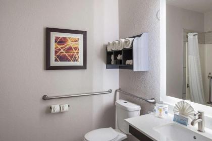 Comfort Suites Lewisville - image 3