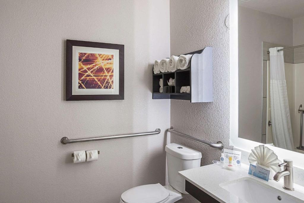 Comfort Suites Lewisville - image 3