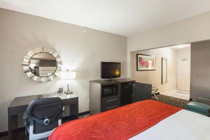 Comfort Suites Lewisville - image 4