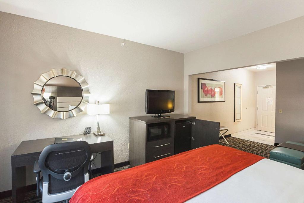 Comfort Suites Lewisville - image 4