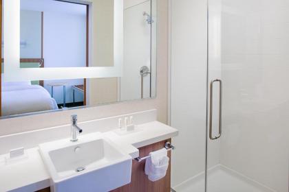 SpringHill Suites by Marriott Dallas Lewisville - image 15