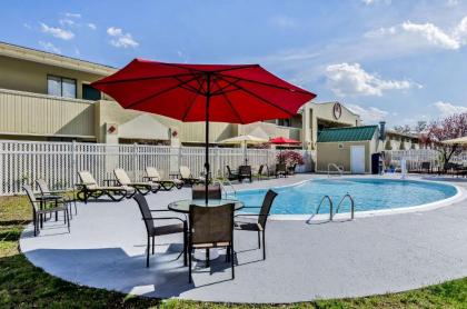 Quality Inn & Suites Lexington - image 18