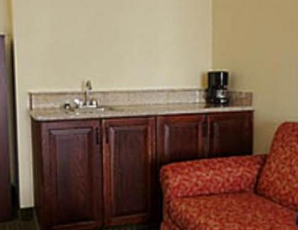 Holiday Inn Express Hotel & Suites Lexington North West-The Vineyard an IHG Hotel - image 5