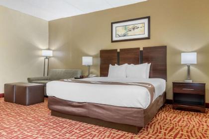 Quality Inn & Suites - image 15