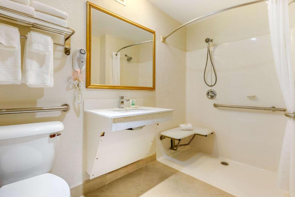 Quality Inn & Suites - image 4